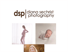 Tablet Screenshot of dianasechrist.com